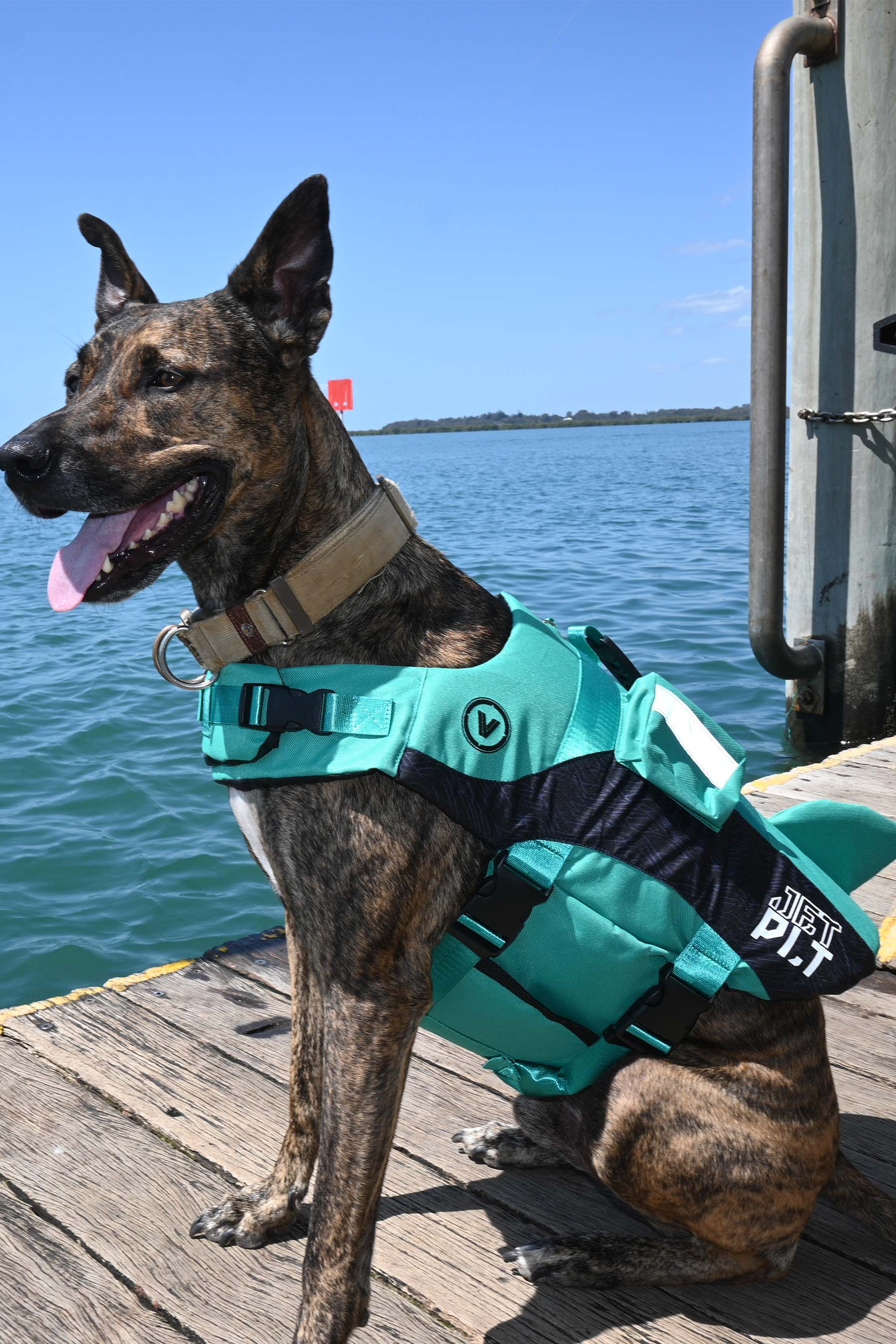 Jetpilot Venture Dog Pfd Life Jacket - Teal