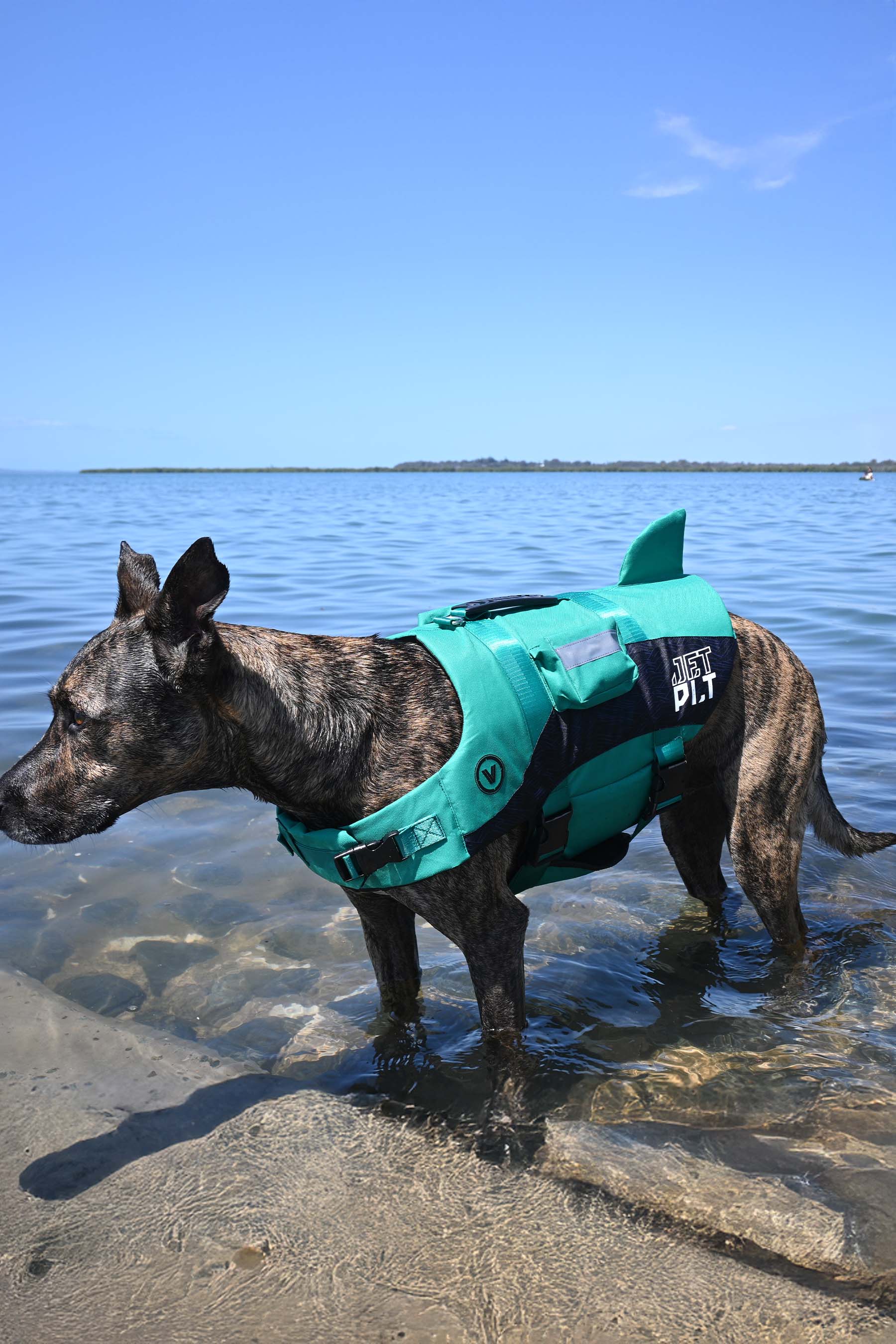Jetpilot Venture Dog Pfd Life Jacket - Teal - Image 5
